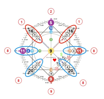 Матрица Судьбы: расшифровка и Кармические Программы | Международная  Академия \"Белое Солнце\" | Нумерология | Матрица Судьбы | Дзен