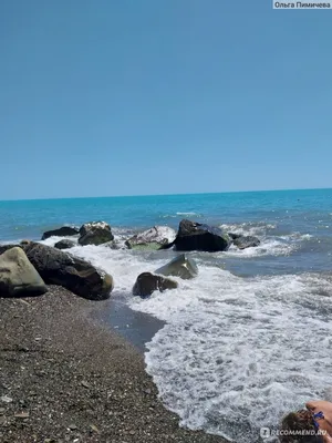 Ландшафтный парк \"Мацеста\" в Сочи - место, где была открыта первая  водолечебница. | Helga Life | Дзен