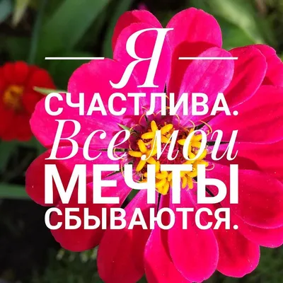 Я счастлива.😊❤🏵 Все мои мечты сбываются.😍🌈❤🌟💰 . Если Вам понравилась  данная публикация, поделитесь ею с друзьями ❗😉🌹 .… | Мечта сбывается,  Мечта, Публикации