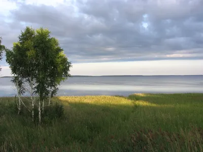 Озеро Медвежье, Петуховский район. — Курганская область