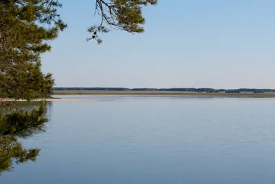 Озеро Медвежье, Курганская область. Отдых, курорт, погода, фото озера,  отзывы об озере, как добраться — Туристер.Ру