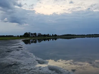 Фото - Санаторий Озеро Медвежье, Курганская область