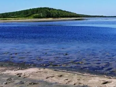 Теплая беседка у воды до 15 человек на базе отдыха \"Озеро Медвежье\"