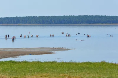 Медвежье оз. в Новосибирске, озеро Медвежье - фото, отзывы 2024, рейтинг,  телефон и адрес