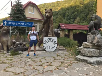 Пикниковая поляна «Медвежий угол»