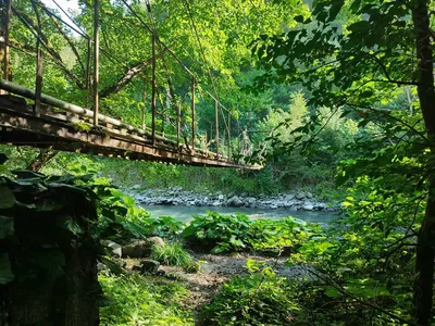 Фотография Россия, Краснодарский край, город-курорт Сочи, окрестности  поселка Красная Поляна. Фонтан на территории Базы отдыха Медвежий Угол в  урочище Чвежипсе. | Фотобанк ГеоФото/GeoPhoto | GetImages Group