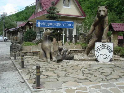 Пикниковая поляна «Медвежий угол»