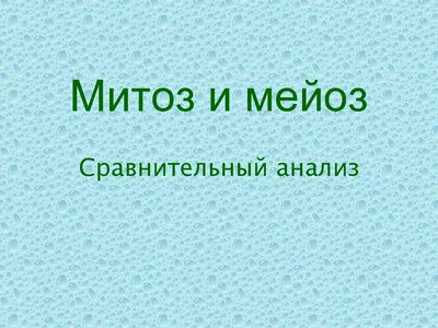 Модель-аппликация \"Деление клетки. Митоз и мейоз\" - Компания ПАРТНЕР |  Купить выгодно. Короткие сроки отгрузки, наличие, гарантия, по 465 и 590  приказу. Доставка по России. Производство.