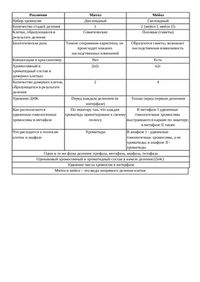 Модель \"Митоз и мейоз клетки\" кабинет биологии Учебное оборудование  Оборудование для кабинета химии Учебное оборудование для кабинета физики  Оборудование для кабинета биологии - ООО Рос-сервис г. Санкт-Петербург