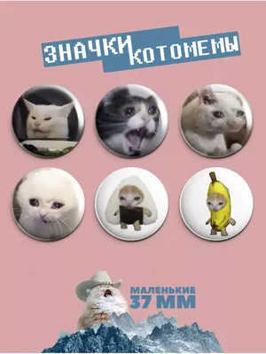 Мемные котики и их не менее мемные рисунки из японского твиттера | Пикабу