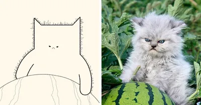 OK-Print Значки с котятами, мемные