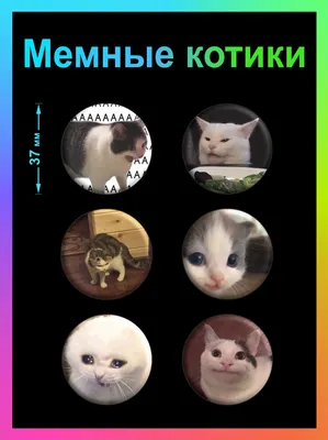 Значки Мемные коты / Котики / Мемы - купить с доставкой по выгодным ценам в  интернет-магазине OZON (738914759)