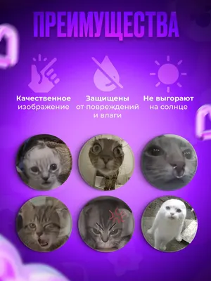 Чехол для карты или пропуска «Мемные коты орут» на телефон — купить  картхолдер в Case Place