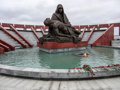 ФВМ «Пантеон защитников Отечества»