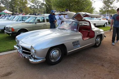 Фотография Mercedes-Benz 300SL на природе