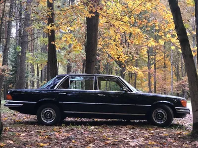 Mercedes-Benz 450SEL 6.9 в черном исполнении на фоне природы