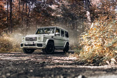 Фотография сбоку Mercedes-Benz G-класса