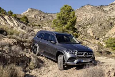 Mercedes-Benz GLS-класс: фото на природе