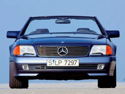 Фото Mercedes-Benz R129 в лесу