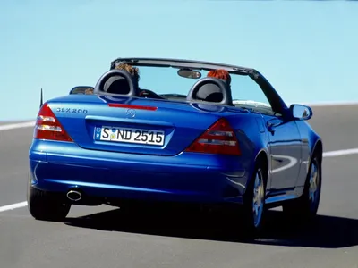 Картинка Mercedes-Benz SLK-класс среди цветов