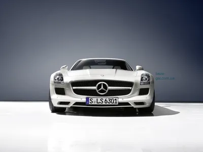 Mercedes-Benz SLS AMG на дороге в лесу