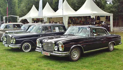 Изображения Mercedes-Benz W108 для печати на холсте