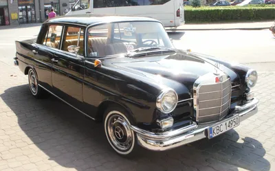 Фото Mercedes-Benz W110 на фоне природы