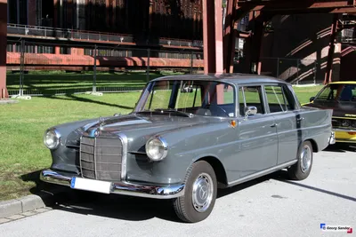 Mercedes-Benz W111 на природе