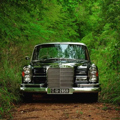 Mercedes-Benz W111 на заднем плане