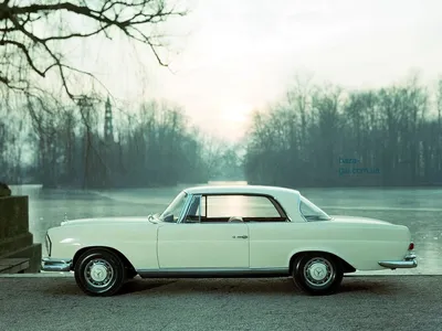 Mercedes-Benz W111 в ближнем плане