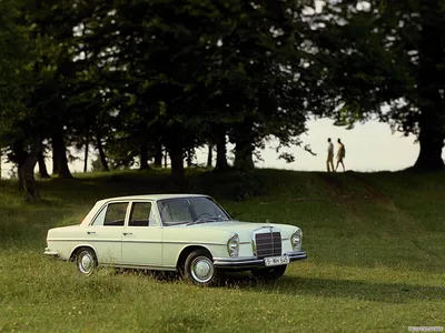 Изображение роскошного Mercedes-Benz W111