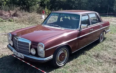 Фото Mercedes-Benz W114/W115 на фоне красивых пейзажей