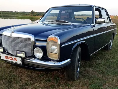 Фото Mercedes-Benz W114/W115 на фоне природы