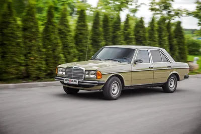 Фотография Mercedes-Benz W123 на фоне города