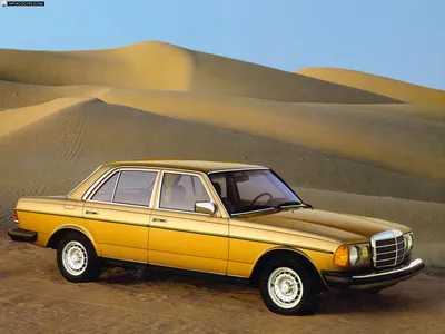 Фото Mercedes-Benz W123 на изгибах горной дороги