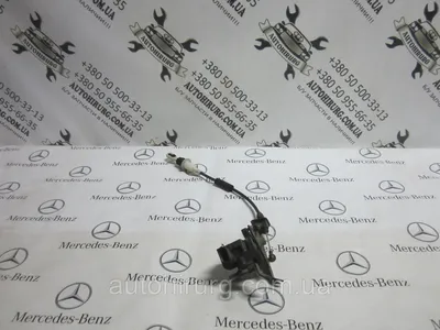 Фото Mercedes-Benz W163 в синем цвете