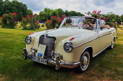 Изображение Mercedes-Benz W180 в движении