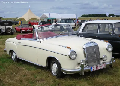 Красивая фотка Mercedes-Benz W180 на солнце