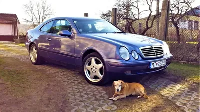 Фотография Mercedes-Benz W208 для использования в рекламе