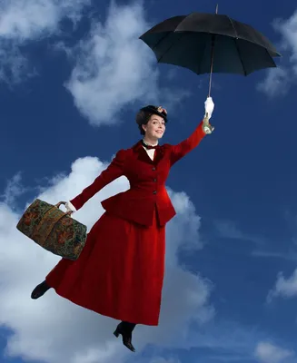 Mary Poppins. Мэри Поппинс: книга для чтения на английском языке | Трэверс  Памела Линдон - купить с доставкой по выгодным ценам в интернет-магазине  OZON (426235826)