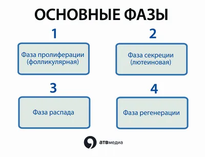 Месячные: истории из жизни, советы, новости, юмор и картинки — Все посты,  страница 2 | Пикабу