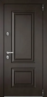 Snegir 55 PP - Интернет-магазин - Torex | Входные металлические двери с  терморазрывом в Иркутске