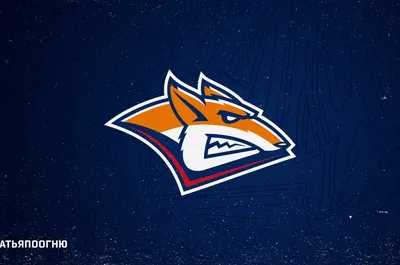 https://www.metallurg.ru/