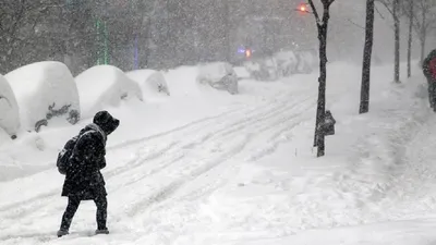 Циклон принесёт в Петербург метель со снегопадом в конце недели