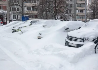 Метель: последние новости на сегодня, самые свежие сведения | 63.ру -  новости Самары