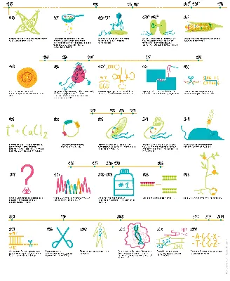 12 методов в картинках: генная инженерия. Часть I, историческая