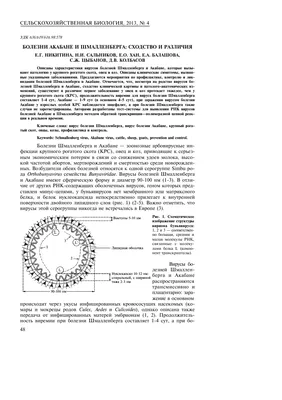 В Тельвиске работает мобильная медицинская бригада » Новости Нарьян-Мара  сегодня – Последние события в НАО – Информационное агентство NAO24.RU