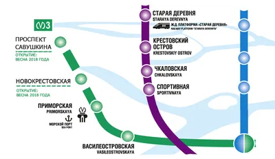 В метро Петербурга перечислили необычные вещи, забытые пассажирами с начала  года