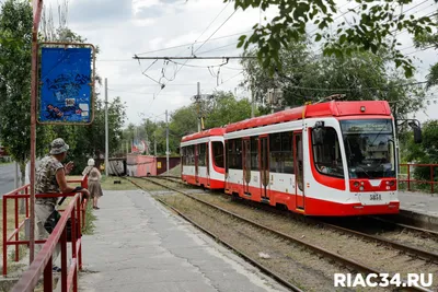 Транспорт переведут на особый режим работы в Волгограде | 07.09.2023 |  Волгоград - БезФормата