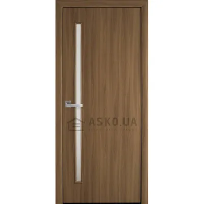 Черные двери из стекла